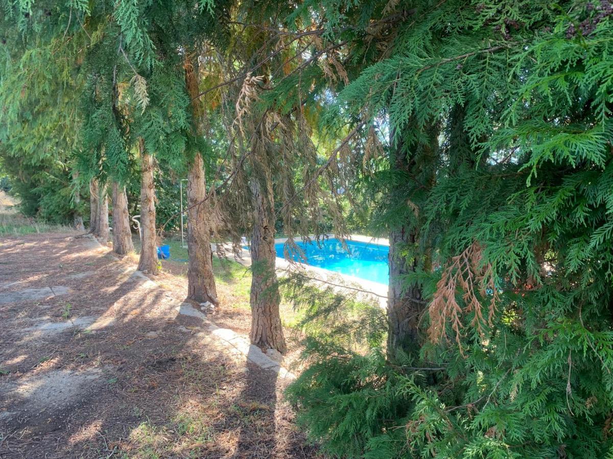 Casa De Pereiras, Vimioso Villa Bagian luar foto
